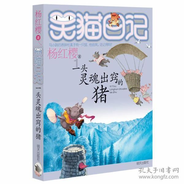内江哪家二胡店值得一试？优质琴声打动你的心弦
