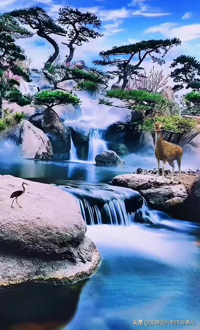 狡猾狐狸逃脱